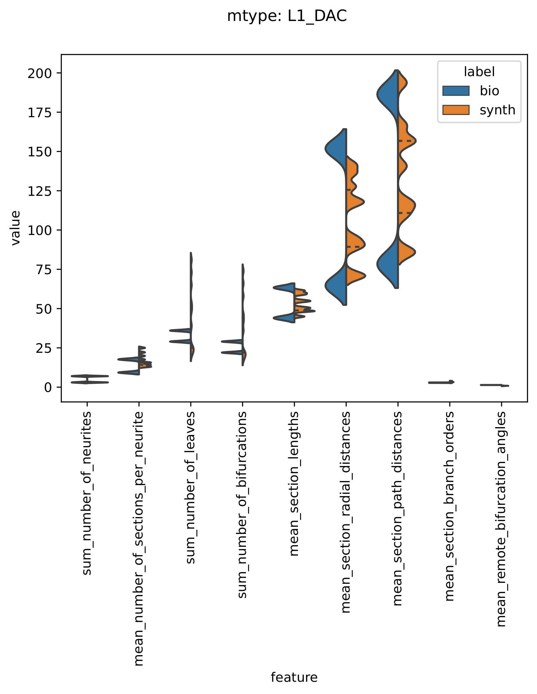 ../../../_images/morphometrics-1.png